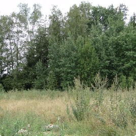 земельные участки без подряда : Участок без подряда 137 : Дмитровское  шоссе :  :  : 