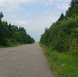 Поселок Лесная речка, участки Лесная речка : Лесная речка : Котеджные послеки без подряда : www.BezPodryada.ru