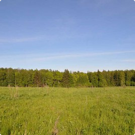Дачный поселок Радуга, участки в поселке Радуга : Радуга (Ярославское) : Котеджные послеки без подряда : www.BezPodryada.ru