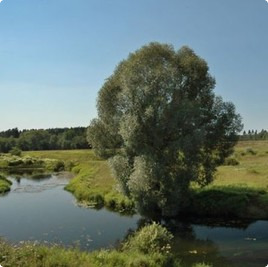 Поселок Фисташки, участок поселок Фисташки : Фисташки : Котеджные послеки без подряда : www.BezPodryada.ru