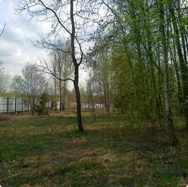 Поселок Янтарь, участки Янтарь : Янтарь : Котеджные послеки без подряда : www.BezPodryada.ru