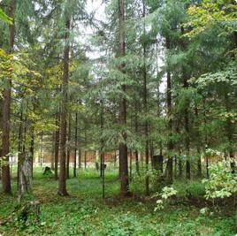 земельные участки без подряда : Участок без подряда 124 : Симферопольское  шоссе :  :  : 