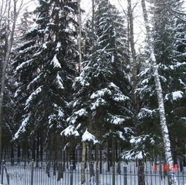 земельные участки без подряда : Участок 194 : Новорижское  шоссе :  :  : 