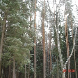 земельные участки без подряда : Участок без подряда 67 : Новорижское  шоссе :  :  : 