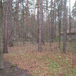 земельные участки без подряда : Земельный участок 11 : Рублёво-Успенское  шоссе :  :  : 