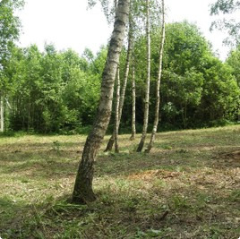 Поселок Евросело, участки Евросело : Евросело : Котеджные послеки без подряда : www.BezPodryada.ru