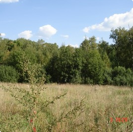 земельные участки без подряда : Участок 192 : Новорижское  шоссе :  :  : 