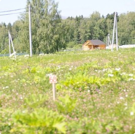 Коттеджный поселок Русское поле, участки в поселке Русское поле : Русское поле : Котеджные послеки без подряда : www.BezPodryada.ru