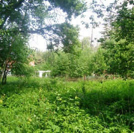 земельные участки без подряда : Участок без подряда 118 : Киевское  шоссе :  :  : 