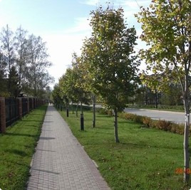 земельные участки без подряда : Участок 179 : Новорижское  шоссе :  :  : 