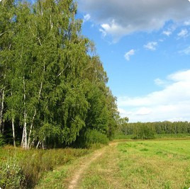 Поселок Раменье, участок Раменье : Раменье : Котеджные послеки без подряда : www.BezPodryada.ru