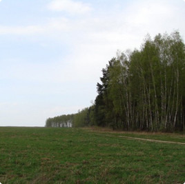 Поселок Петрово поле, Участки Петрово поле : Петрово поле (продан) : Котеджные послеки без подряда : www.BezPodryada.ru