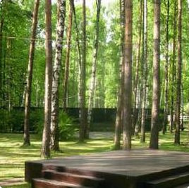 земельные участки без подряда : Земельный участок 63 : Рублёво-Успенское  шоссе :  :  : 