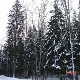 земельные участки без подряда : Участок 182 : Новорижское  шоссе :  :  : 