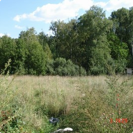 земельные участки без подряда : Участок 193 : Новорижское  шоссе :  :  : 